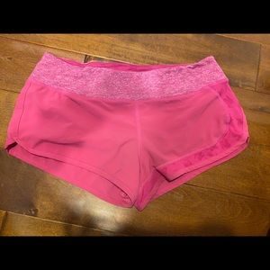 Run in rabbit catch me if you can